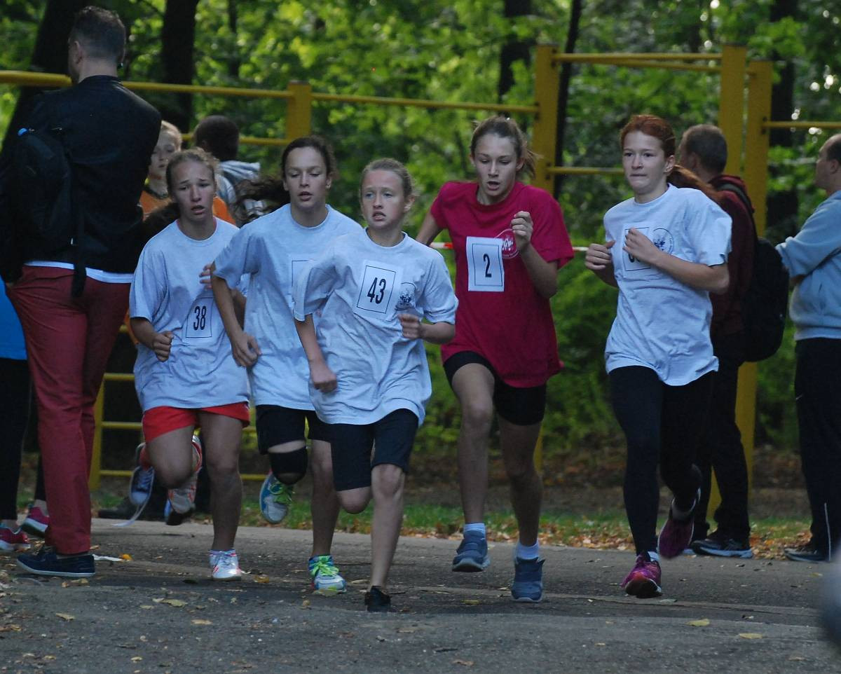 Z Sedlaczkiem przez park