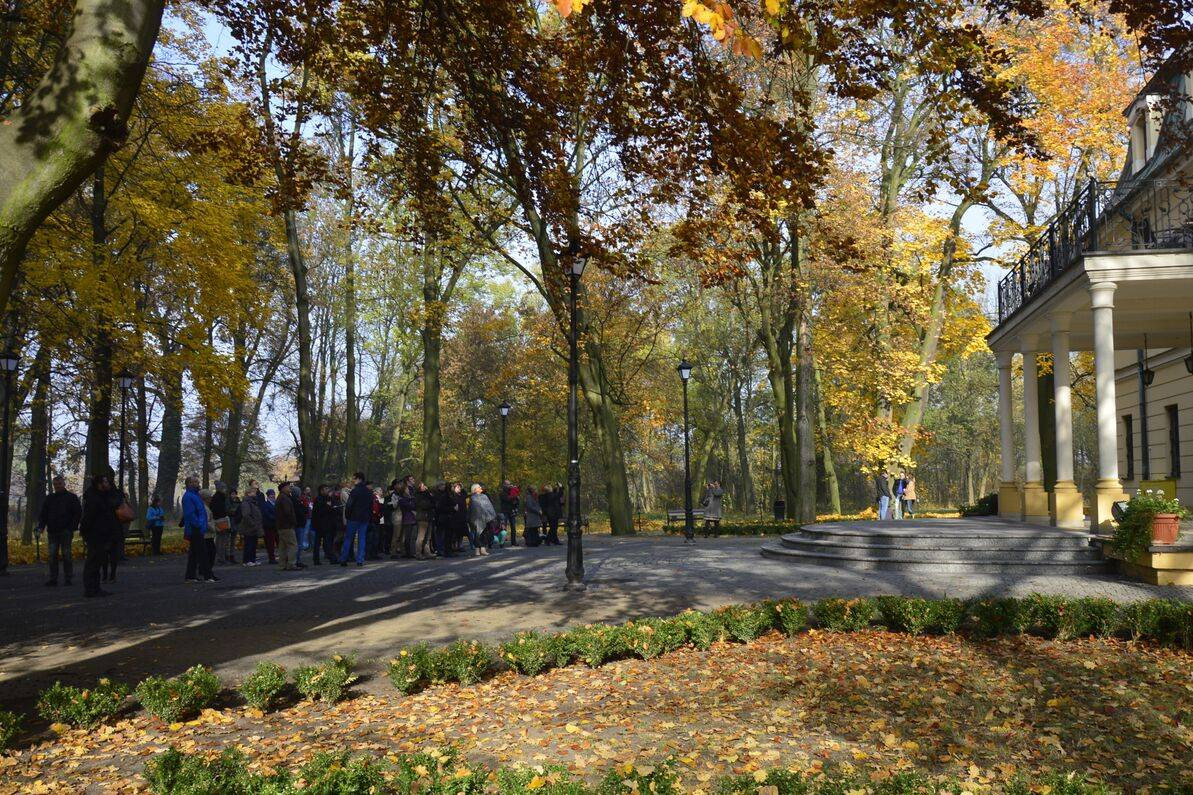 Od pałacu do pałacu