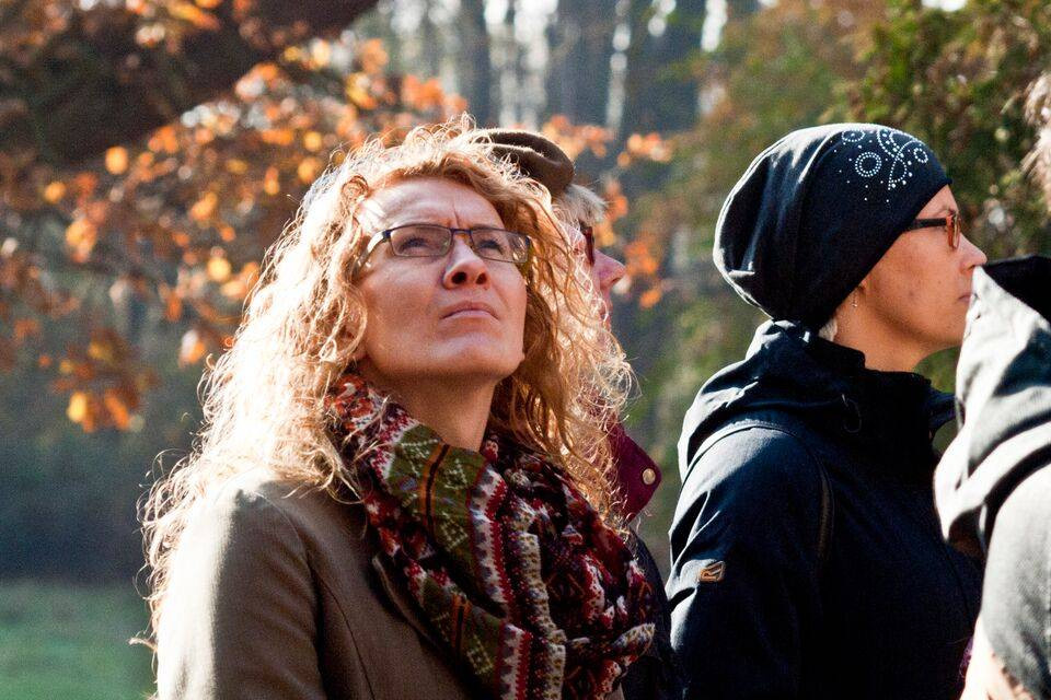 Od pałacu do pałacu