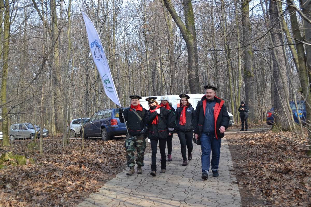 Morsy pod ziemią