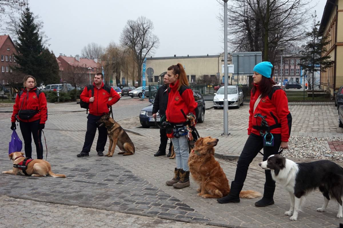 Psy do zadań specjalnych