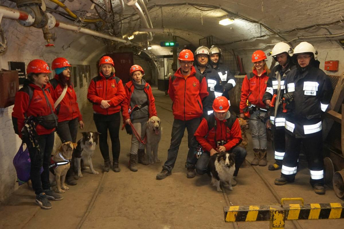 Psy do zadań specjalnych