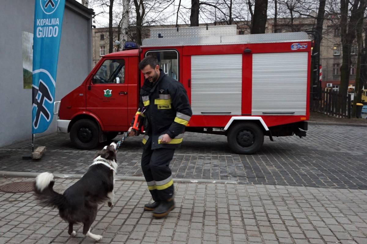 Psy do zadań specjalnych