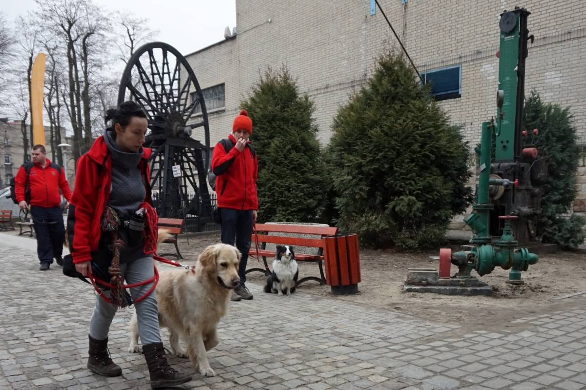 Psy do zadań specjalnych