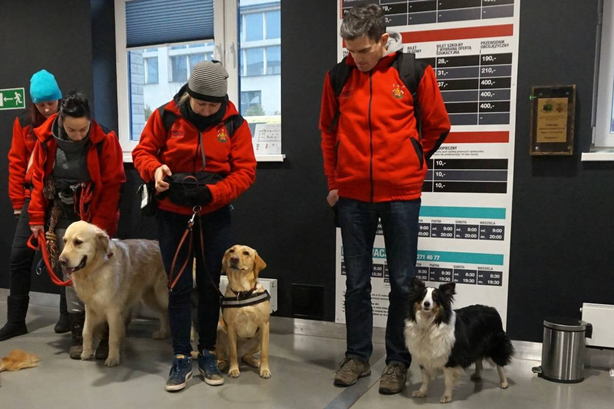 Psy do zadań specjalnych