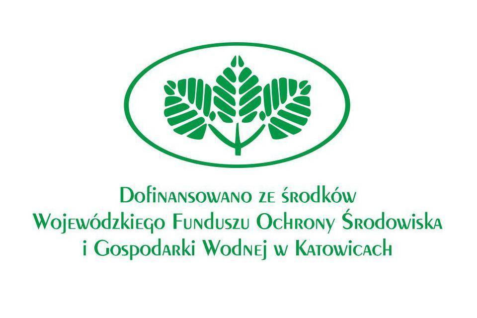 Bonsai na Skrzycznem