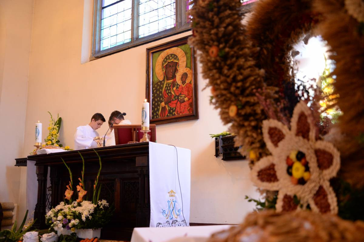 Gospodarstwo jak wisienka na torcie