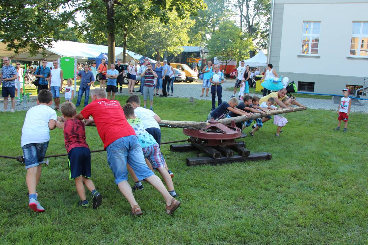 Traktory z rodowodem