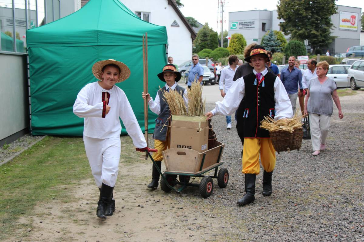 Dwie dekady Miedarzan