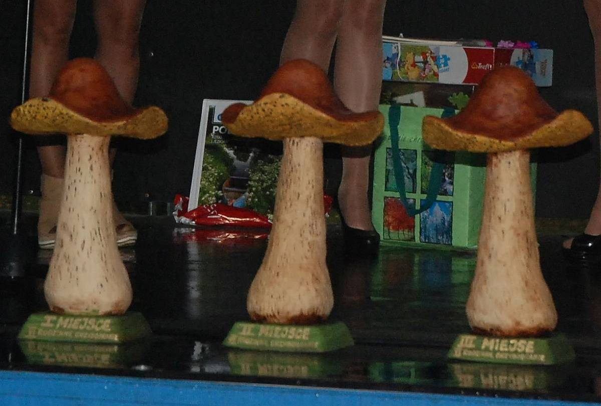 Grzybobranie w spóźnionym deszczu