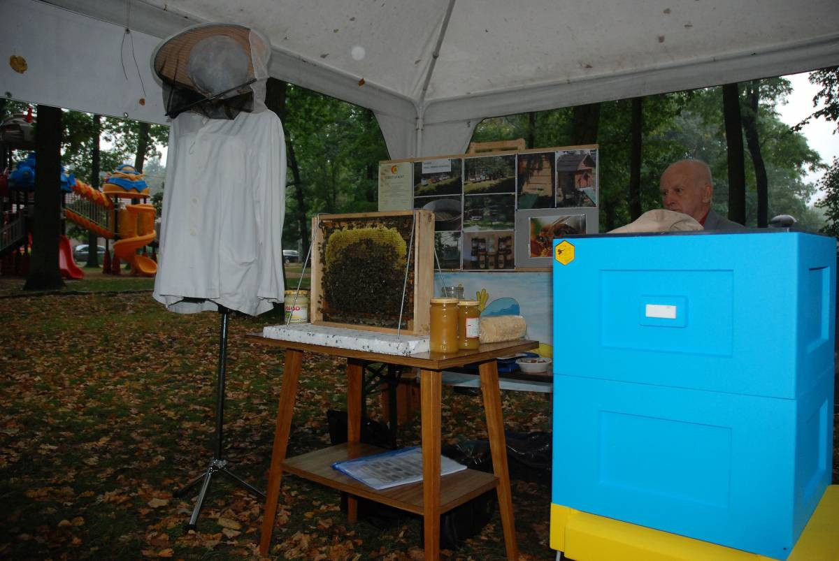 Grzybobranie w spóźnionym deszczu