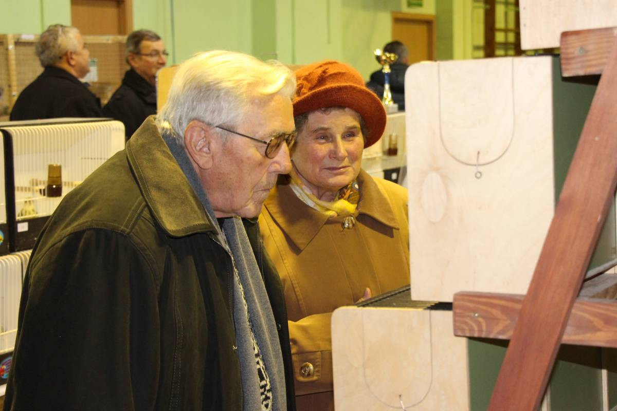 Egzotyczne ptaki w Tworogu