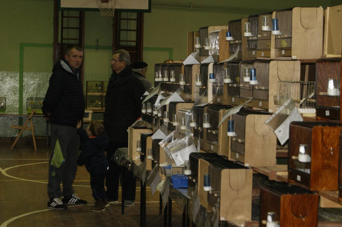 Egzotyczne ptaki w Tworogu