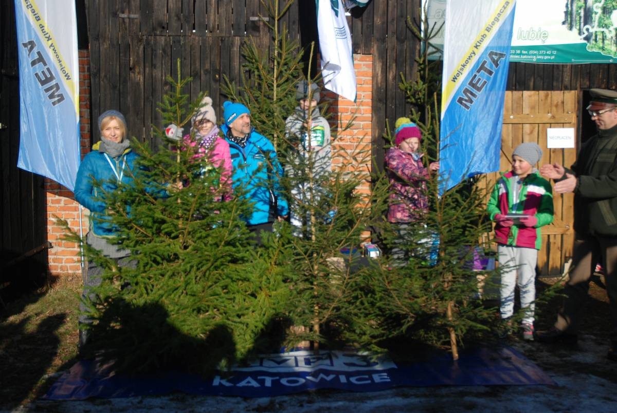 Choinkowe szaleństwo