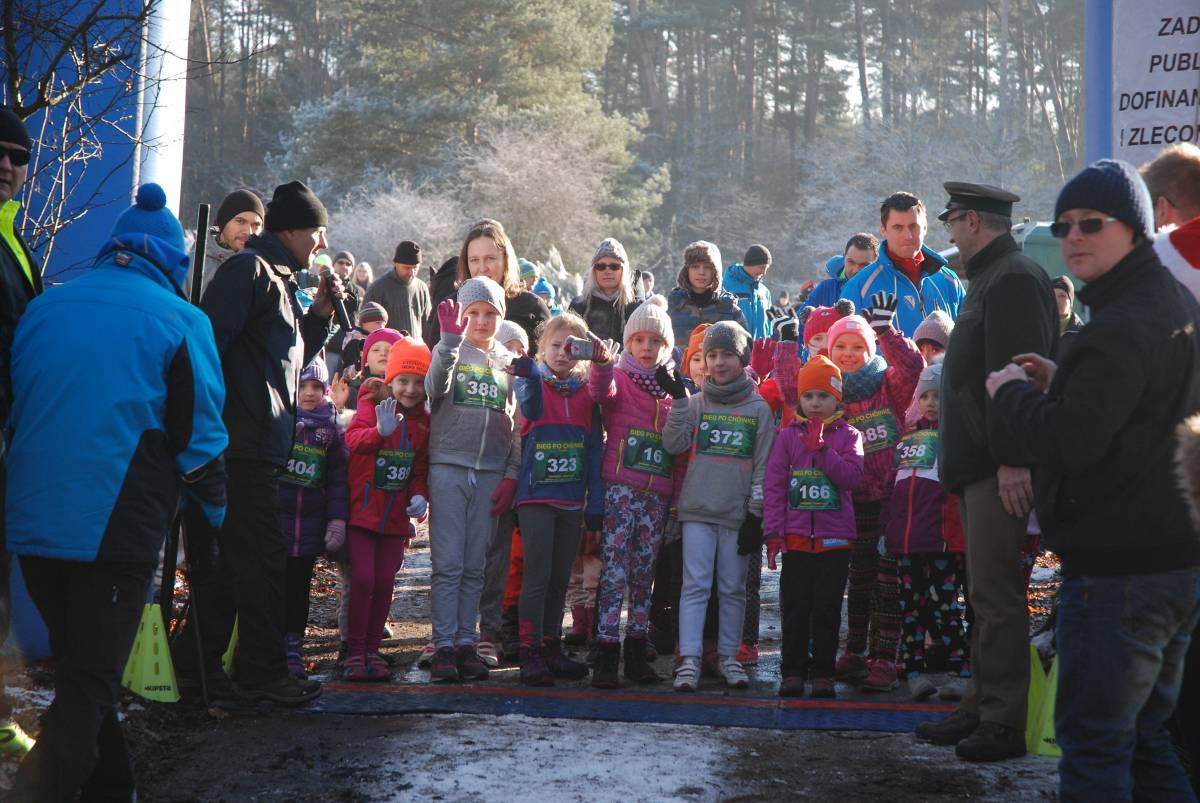 Choinkowe szaleństwo