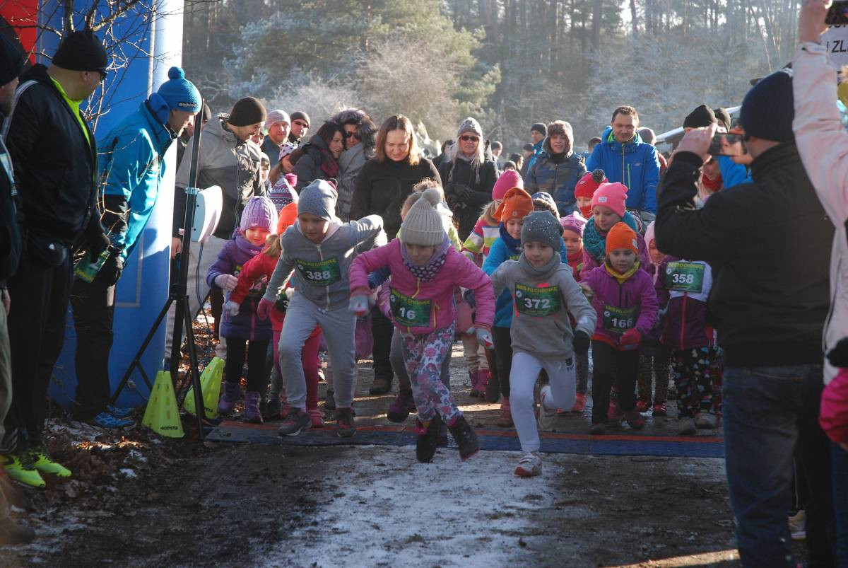 Choinkowe szaleństwo