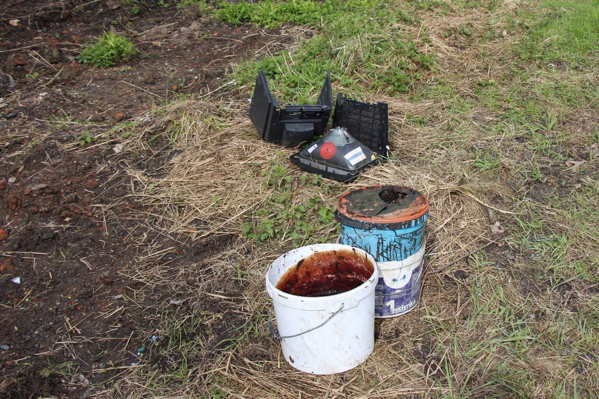 Mieszkańcy sprzątali Repty