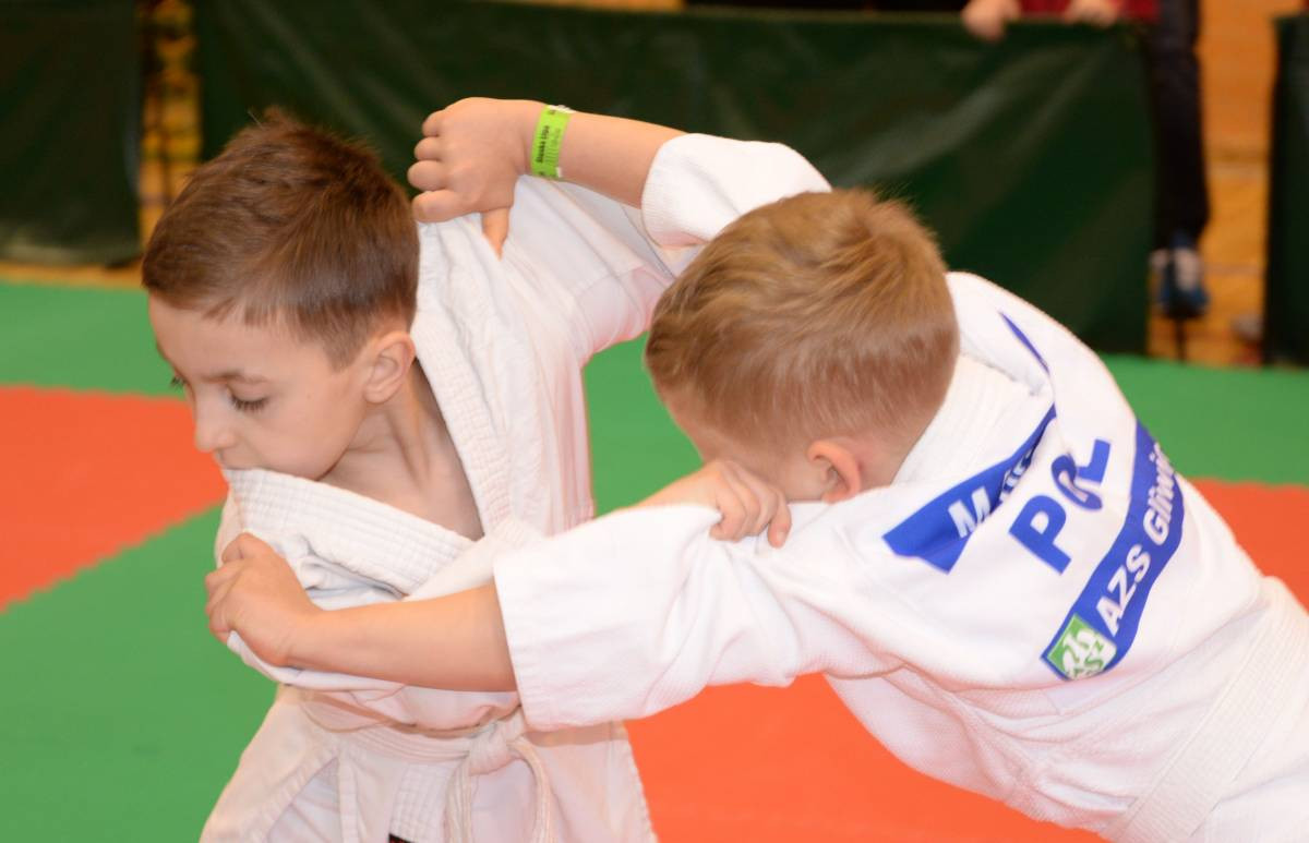 Przygoda z judo