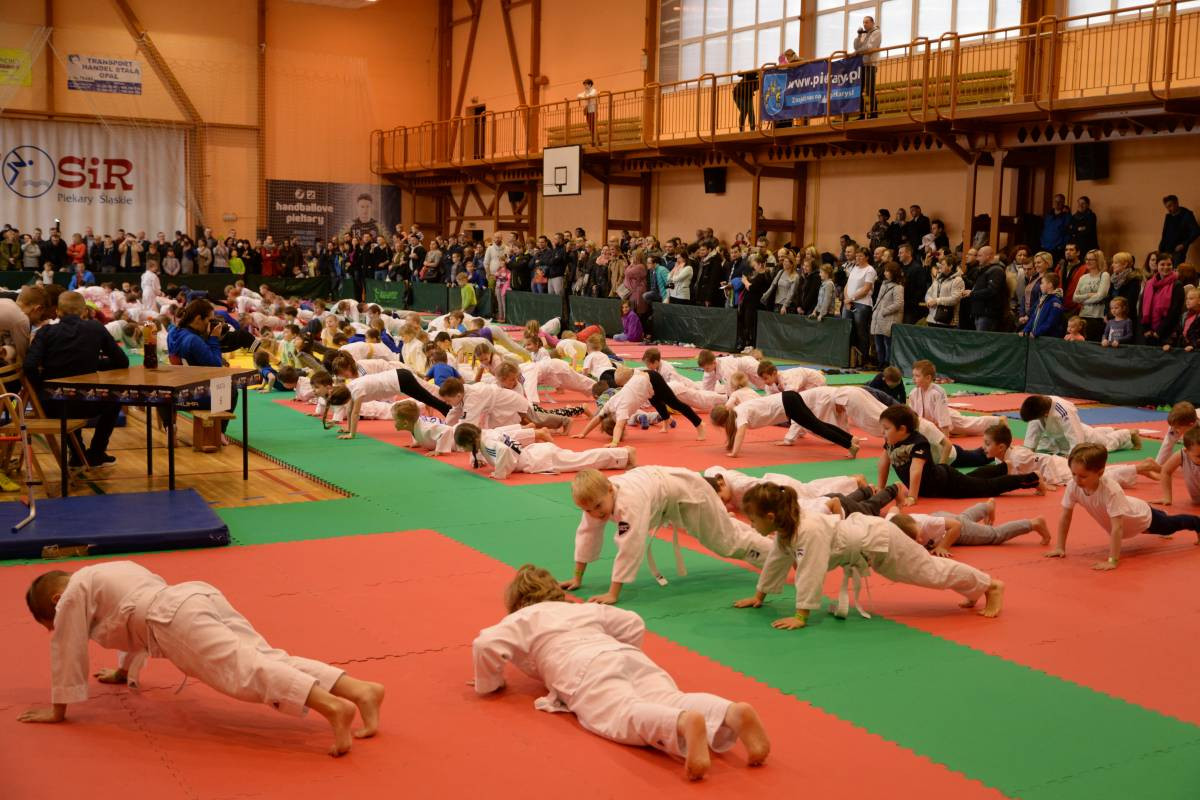 Przygoda z judo