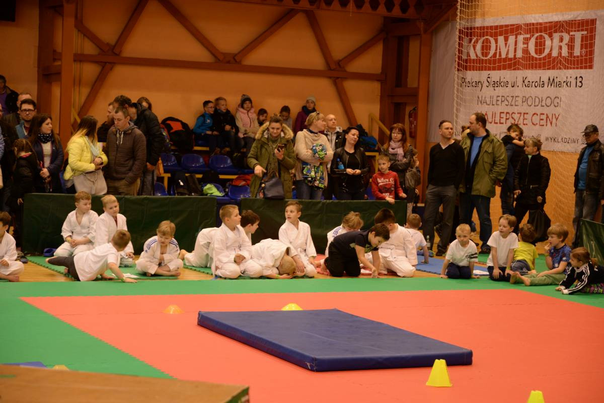 Przygoda z judo