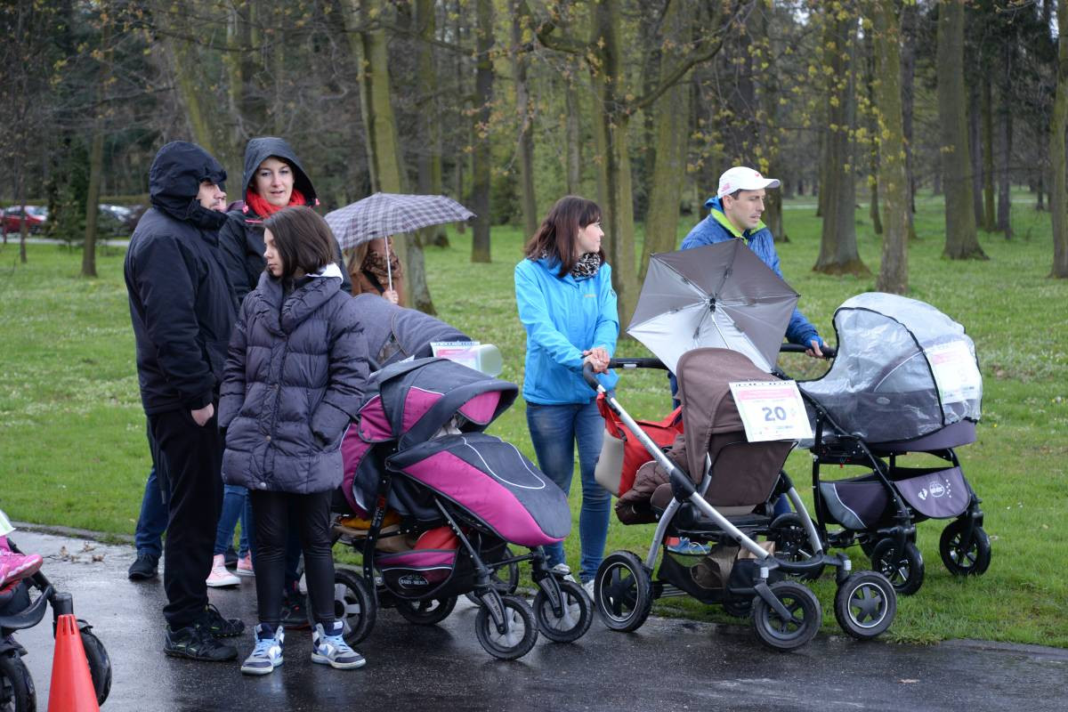 Z wózkami w systemie pucharowym
