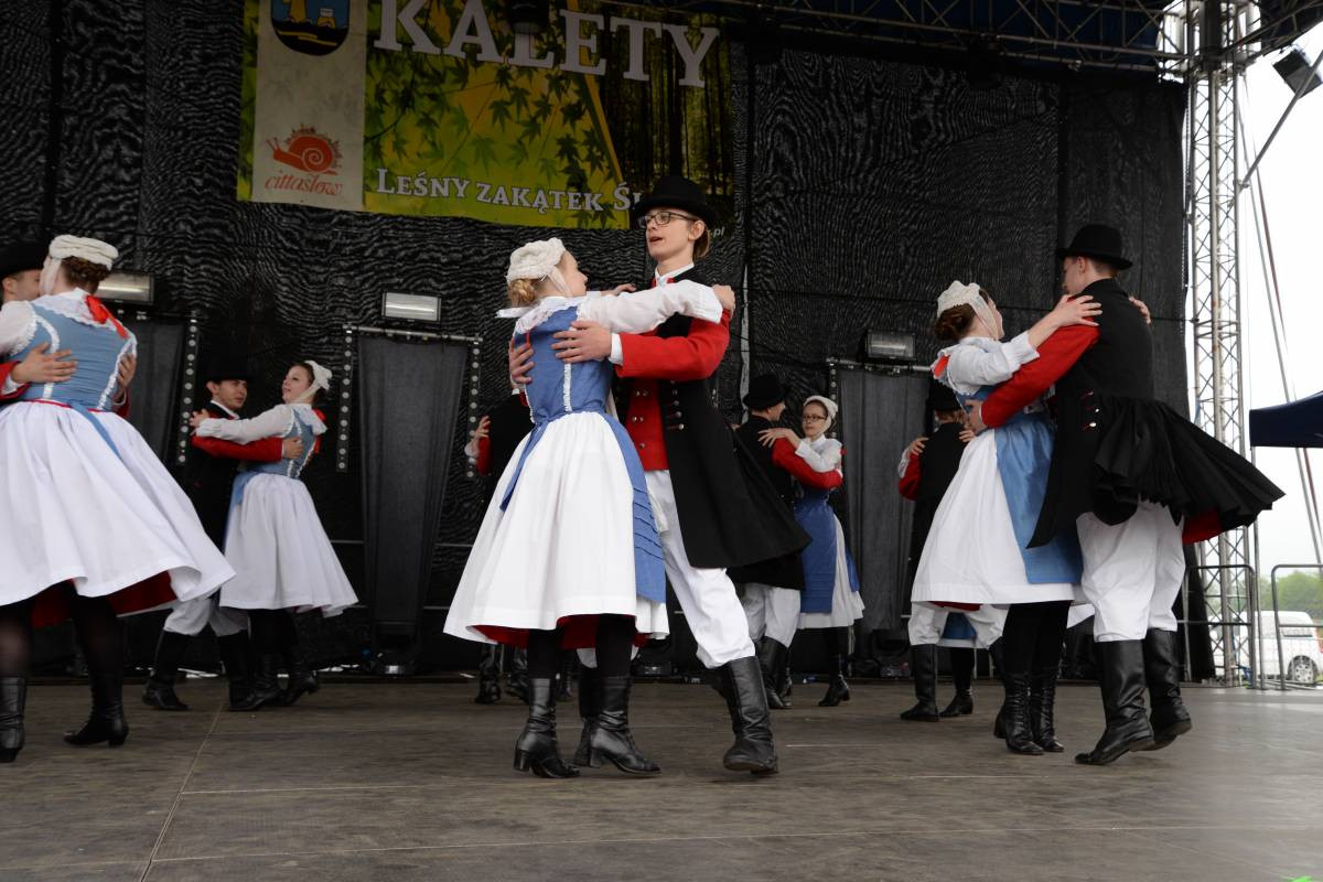 Festiwal ze ślimakiem (Film)