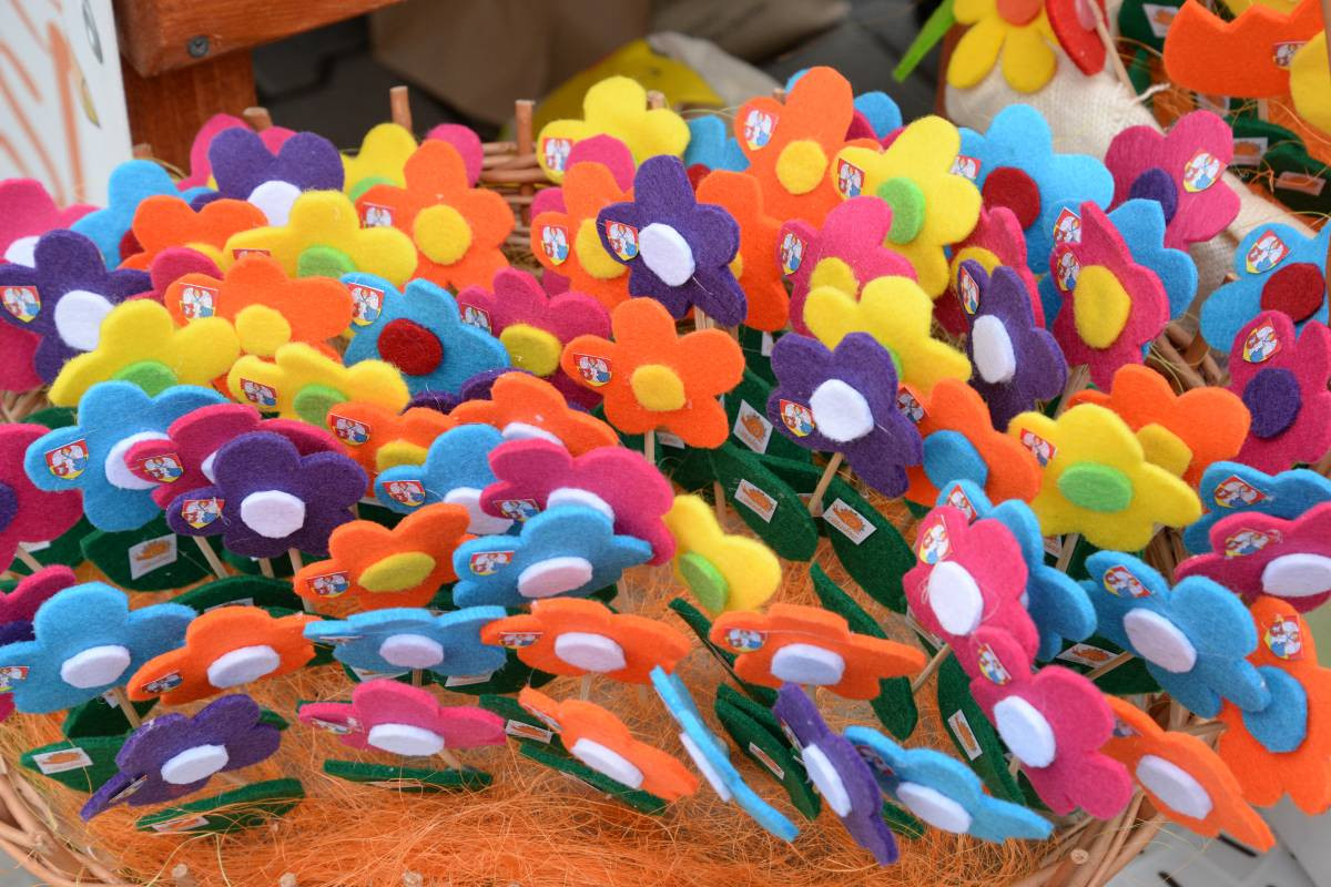 Festiwal ze ślimakiem (Film)