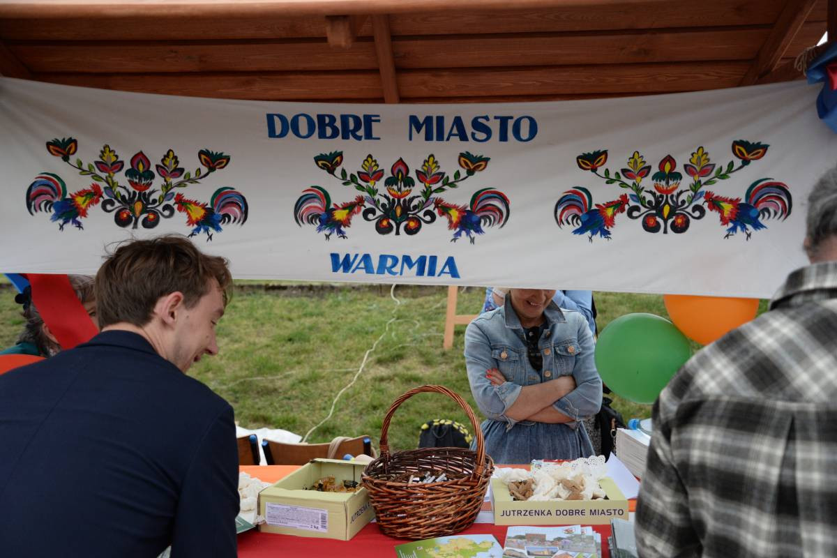 Festiwal ze ślimakiem (Film)