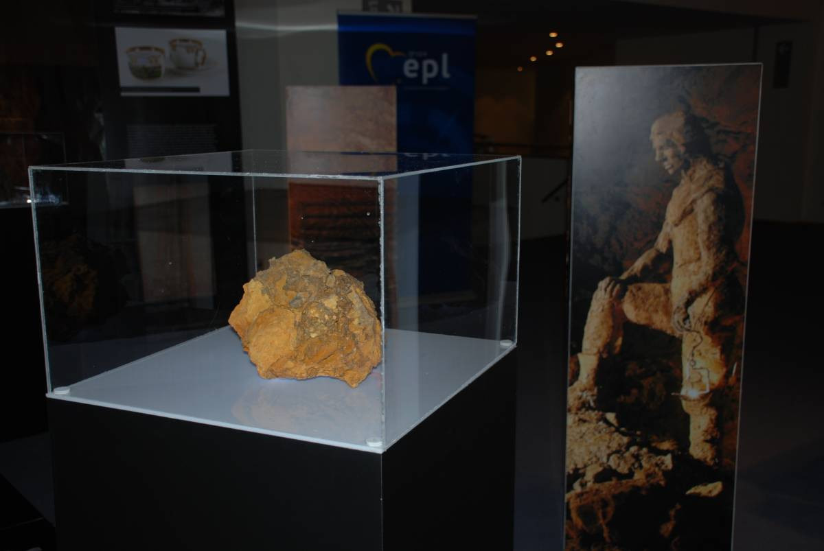 O Tarnowskich Górach w Brukseli