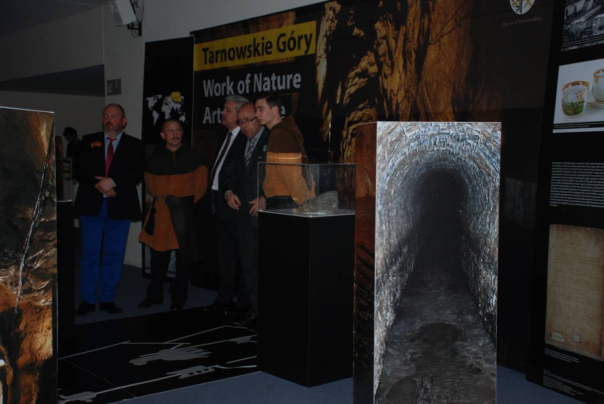 O Tarnowskich Górach w Brukseli