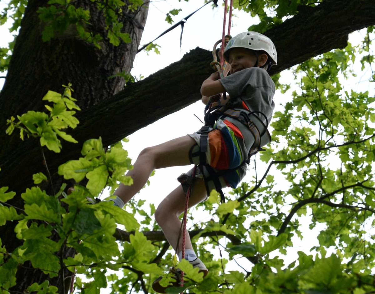 Mistrzostwa na dębie