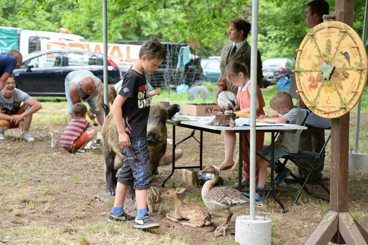 Mistrzostwa na dębie