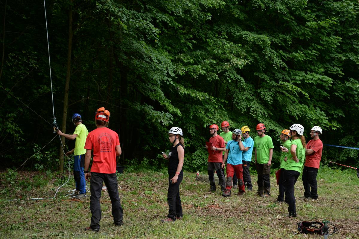 Mistrzostwa na dębie