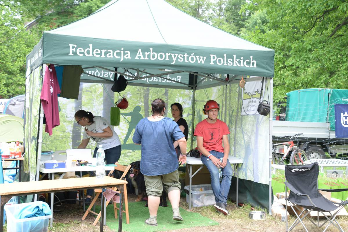 Mistrzostwa na dębie