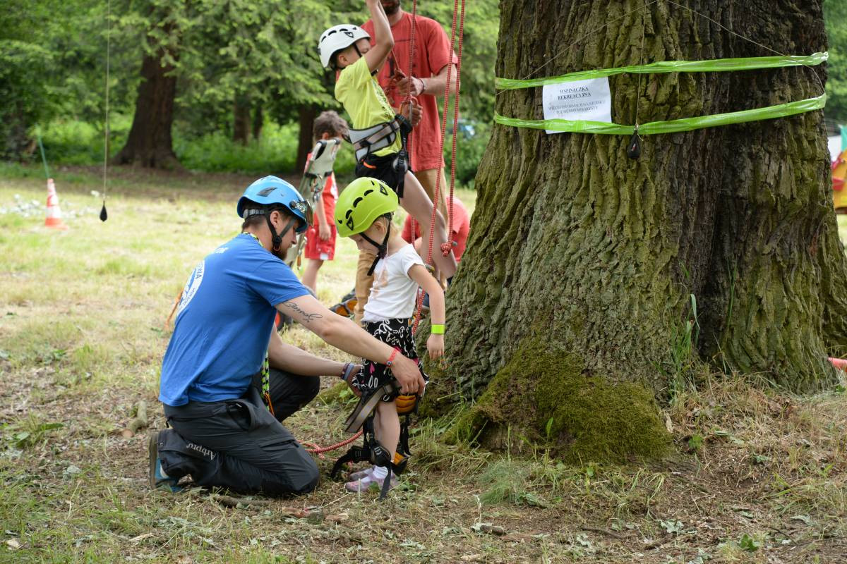 Mistrzostwa na dębie