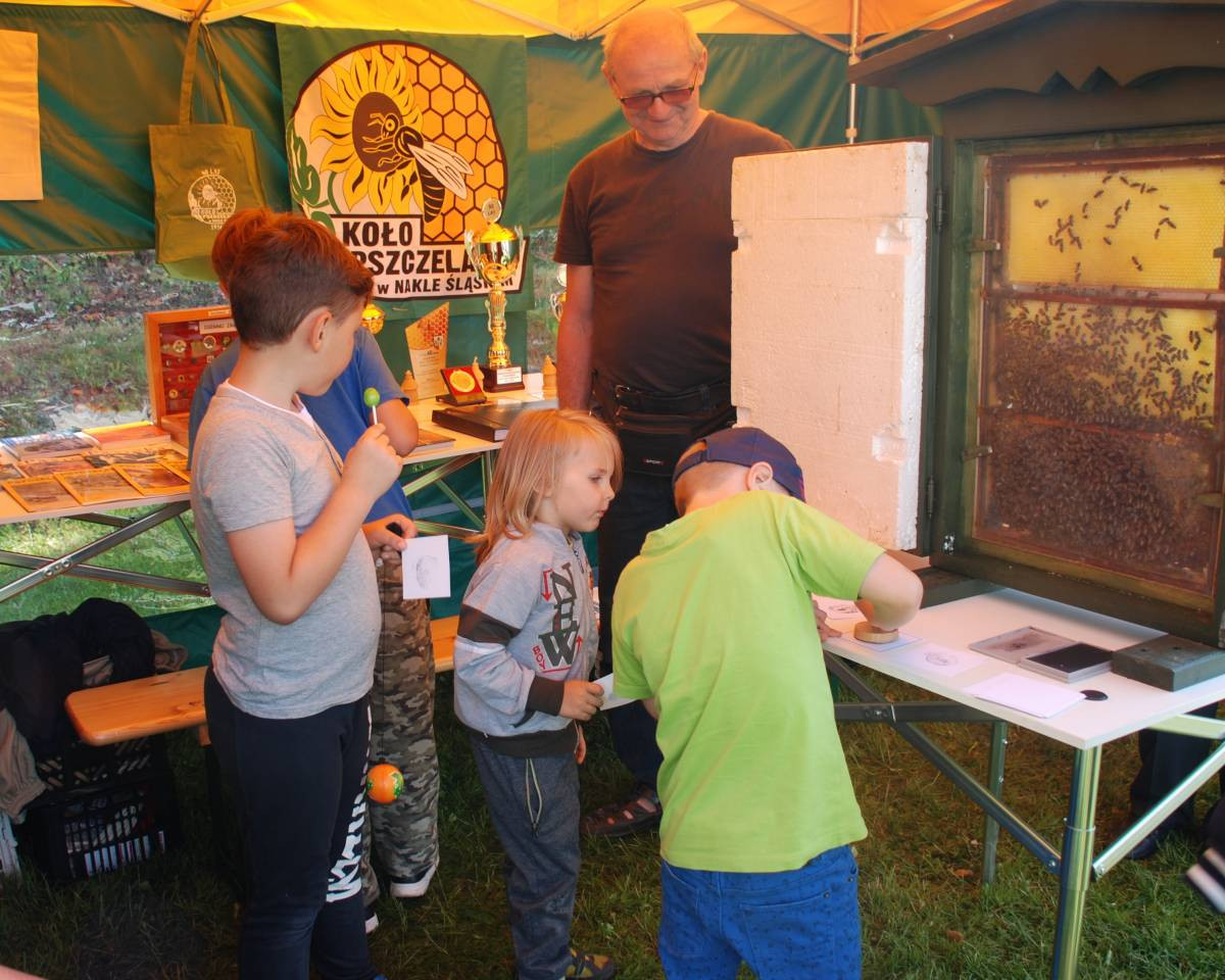 Dni Świerklańca w Orzechu