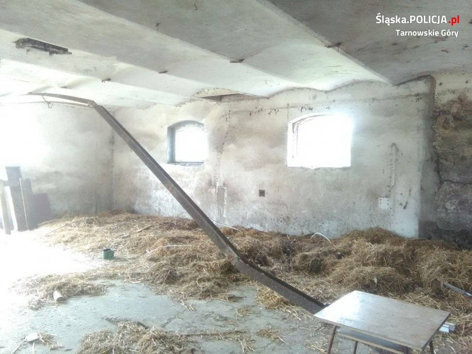 Złodzieje leżeli w krzakach