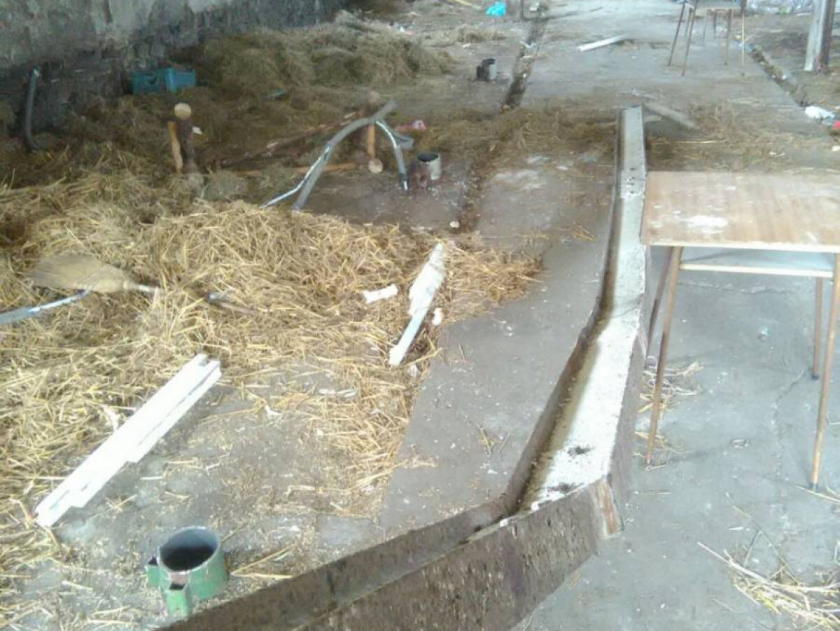 Złodzieje leżeli w krzakach