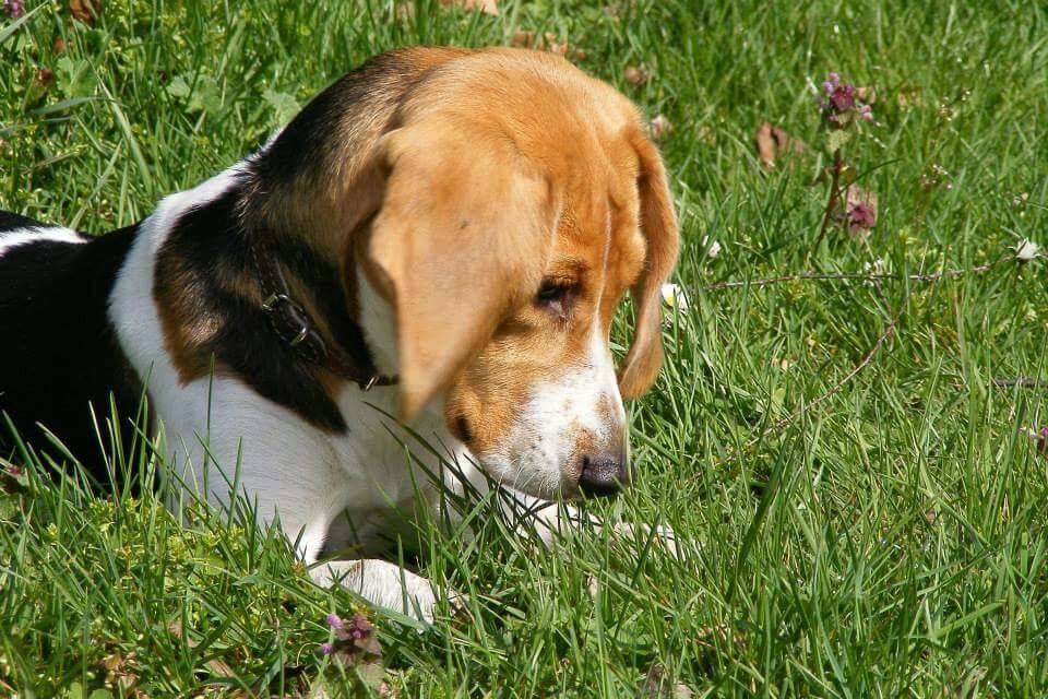 Czekamy na zdjęcia Waszych zwierzaków