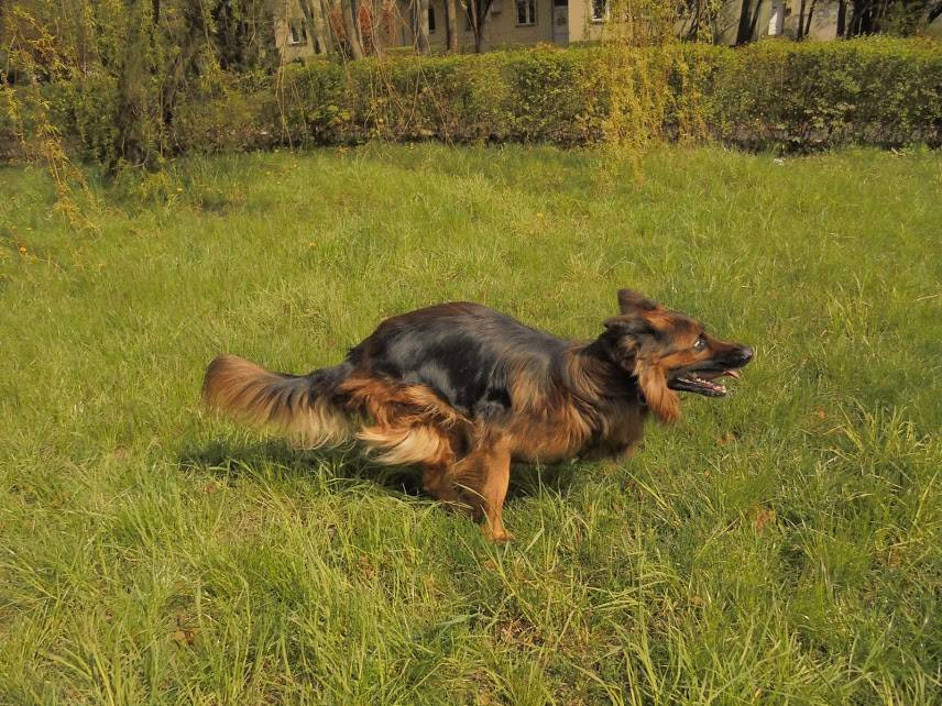 Czekamy na zdjęcia Waszych zwierzaków