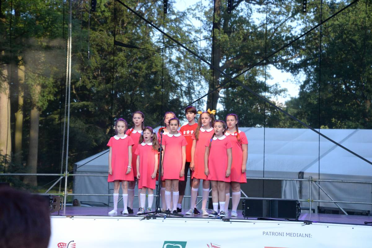 Six Limbs Group na Święcie Śląska (FILM)