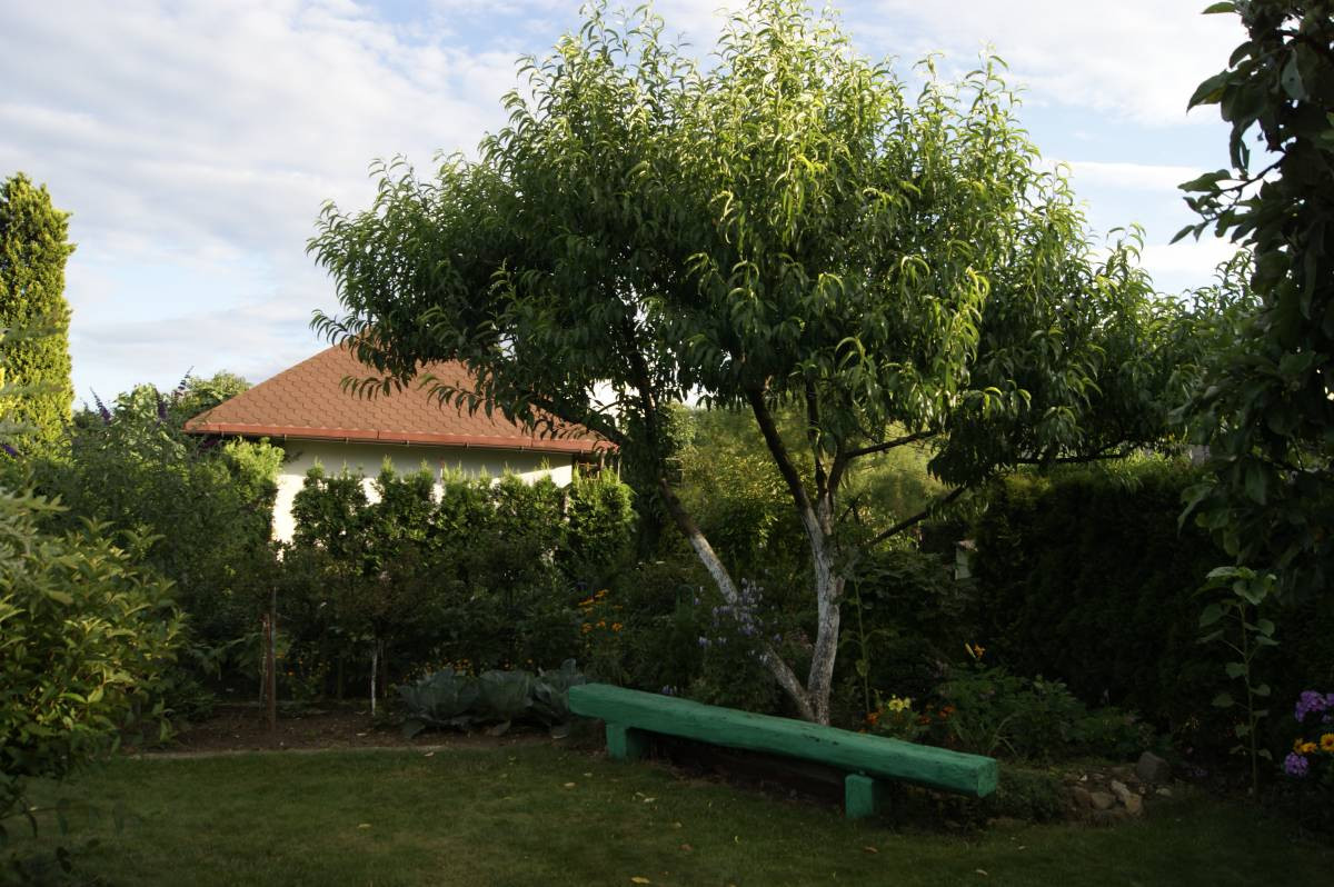 Plebiscyt na najładniejsze ogrody. Jeszcze przyjmujemy zgłoszenia