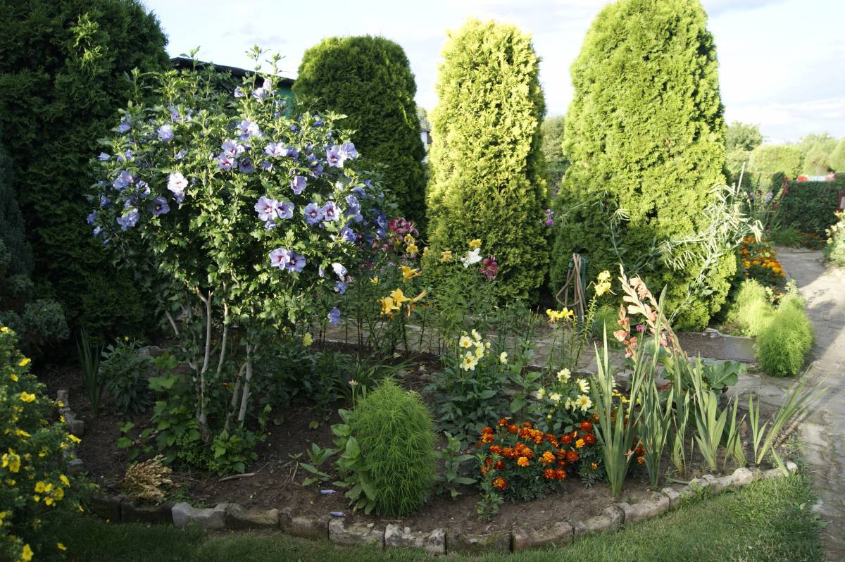 Plebiscyt na najładniejsze ogrody. Jeszcze przyjmujemy zgłoszenia