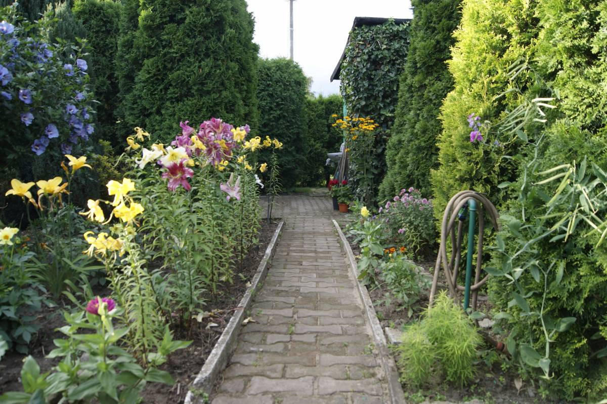 Plebiscyt na najładniejsze ogrody. Jeszcze przyjmujemy zgłoszenia