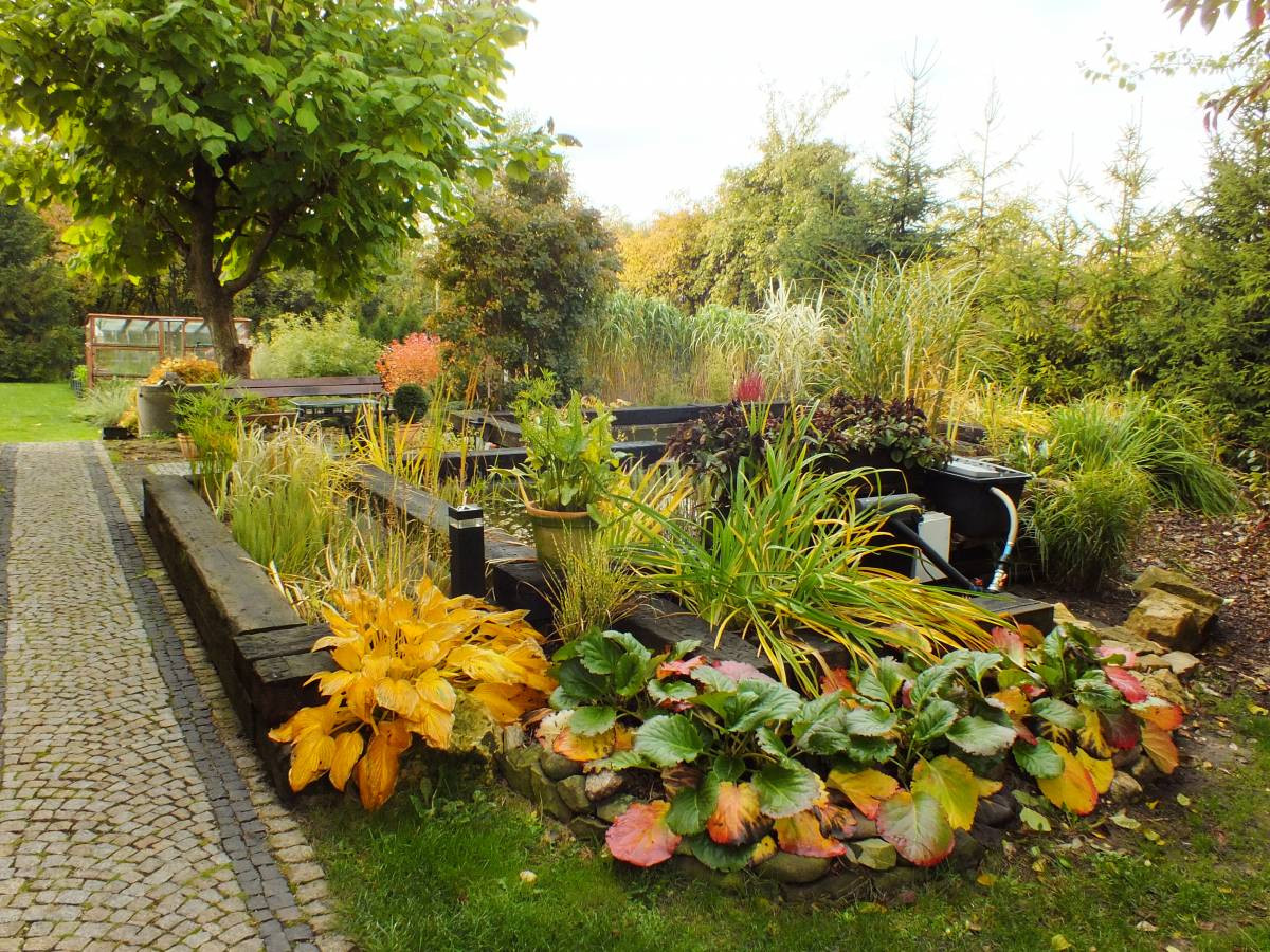 Plebiscyt na najładniejsze ogrody. Jeszcze przyjmujemy zgłoszenia