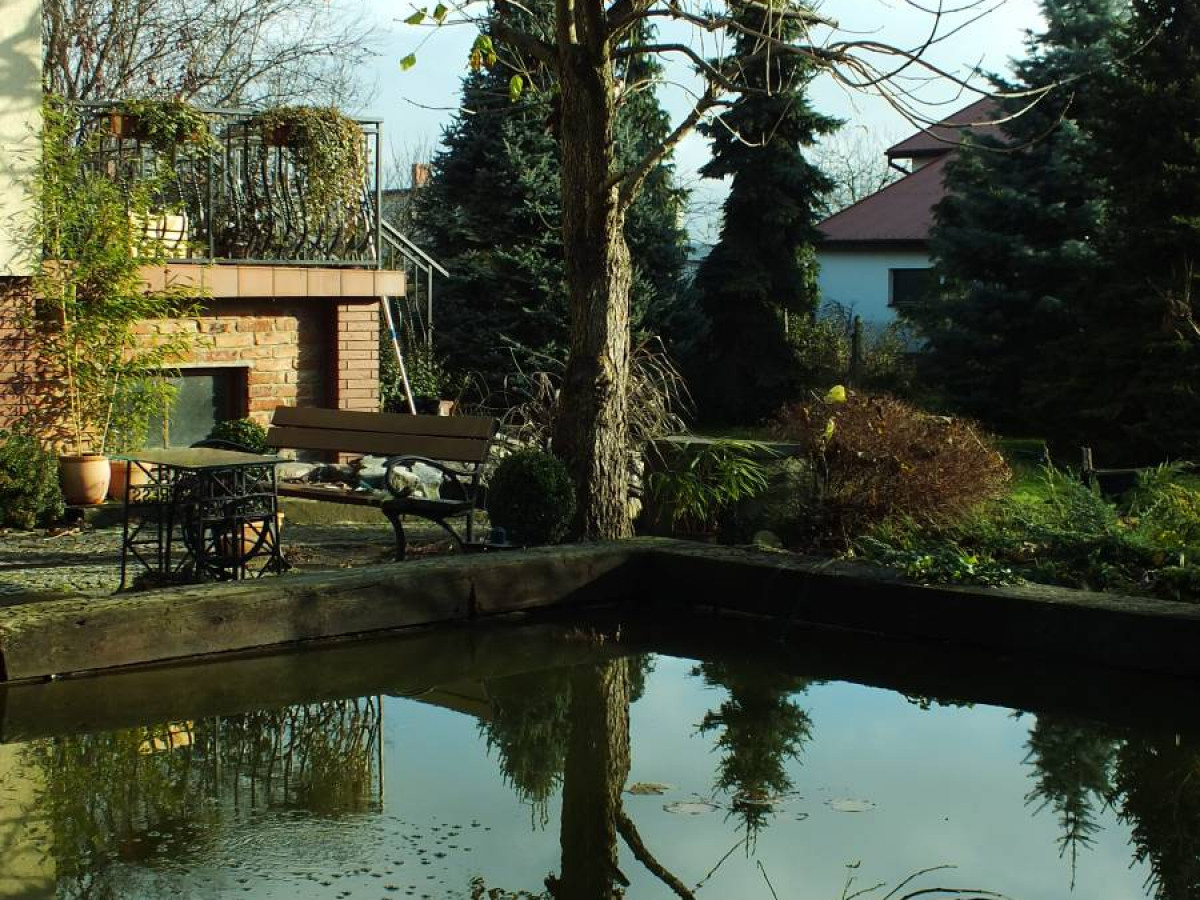 Plebiscyt na najładniejsze ogrody. Jeszcze przyjmujemy zgłoszenia