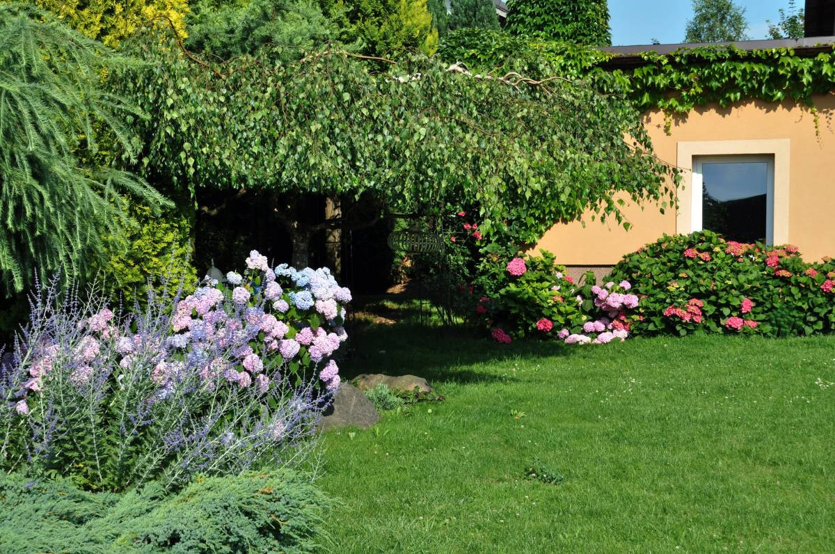 Plebiscyt na najładniejsze ogrody. Jeszcze przyjmujemy zgłoszenia