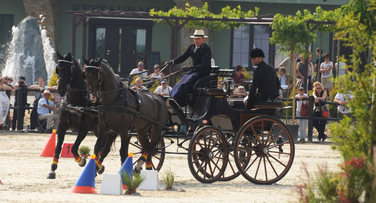 Mistrz w powożeniu (FILM)