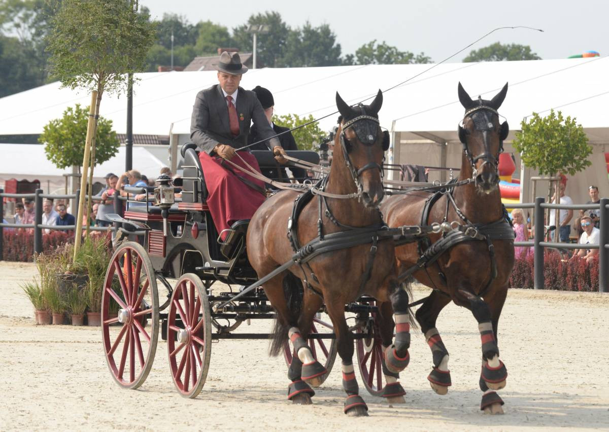 Mistrz w powożeniu (FILM)