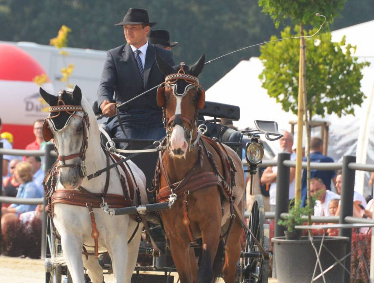 Mistrz w powożeniu (FILM)